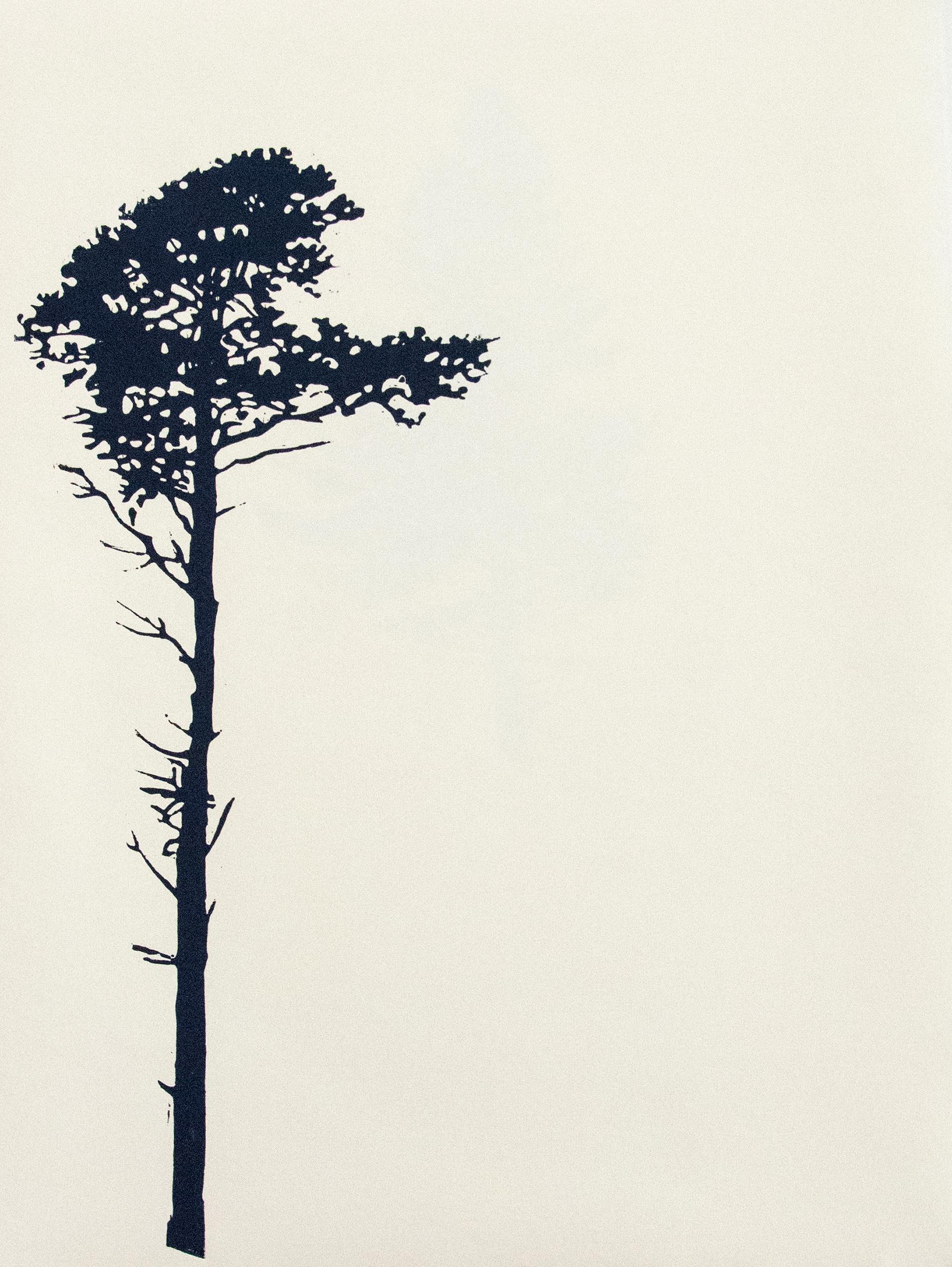 Der Wald  8/12 - portfolio of 9 woodblock prints - Beige Landscape Print by Peter Hoffer