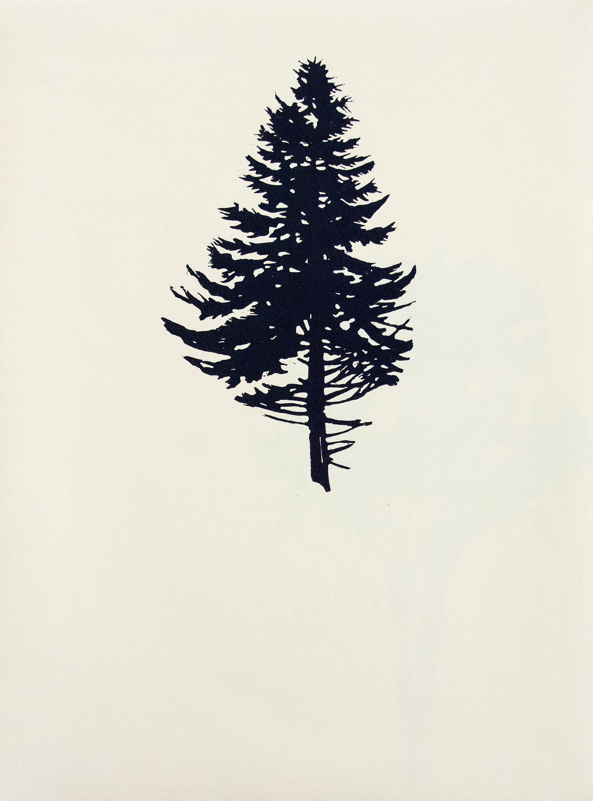 Der Wald or The Forest by Peter Hoffer consists of nine wood block prints in a single portfolio. In each of the nine images a single tree is printed cleanly in solid black on manila colored archival art paper. The trees -- tall, short, high or low