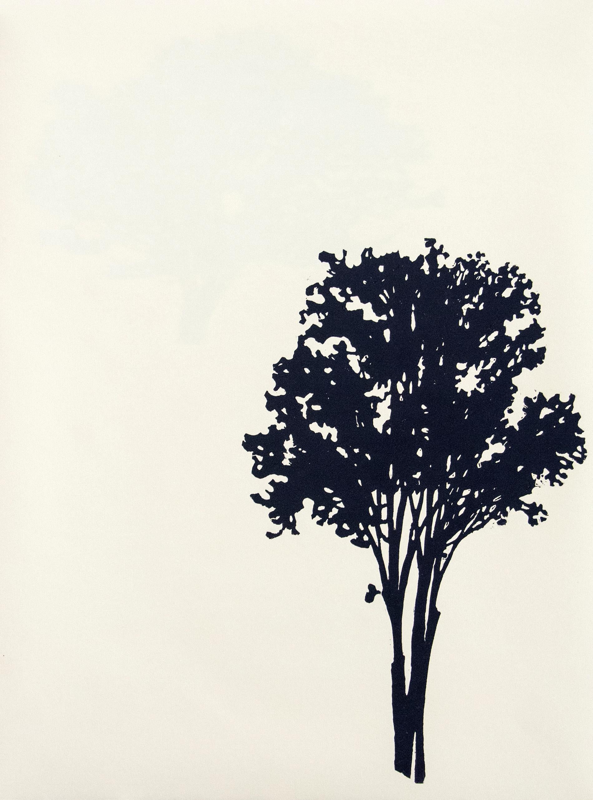 Der Wald  8/12 - portfolio of 9 woodblock prints 1