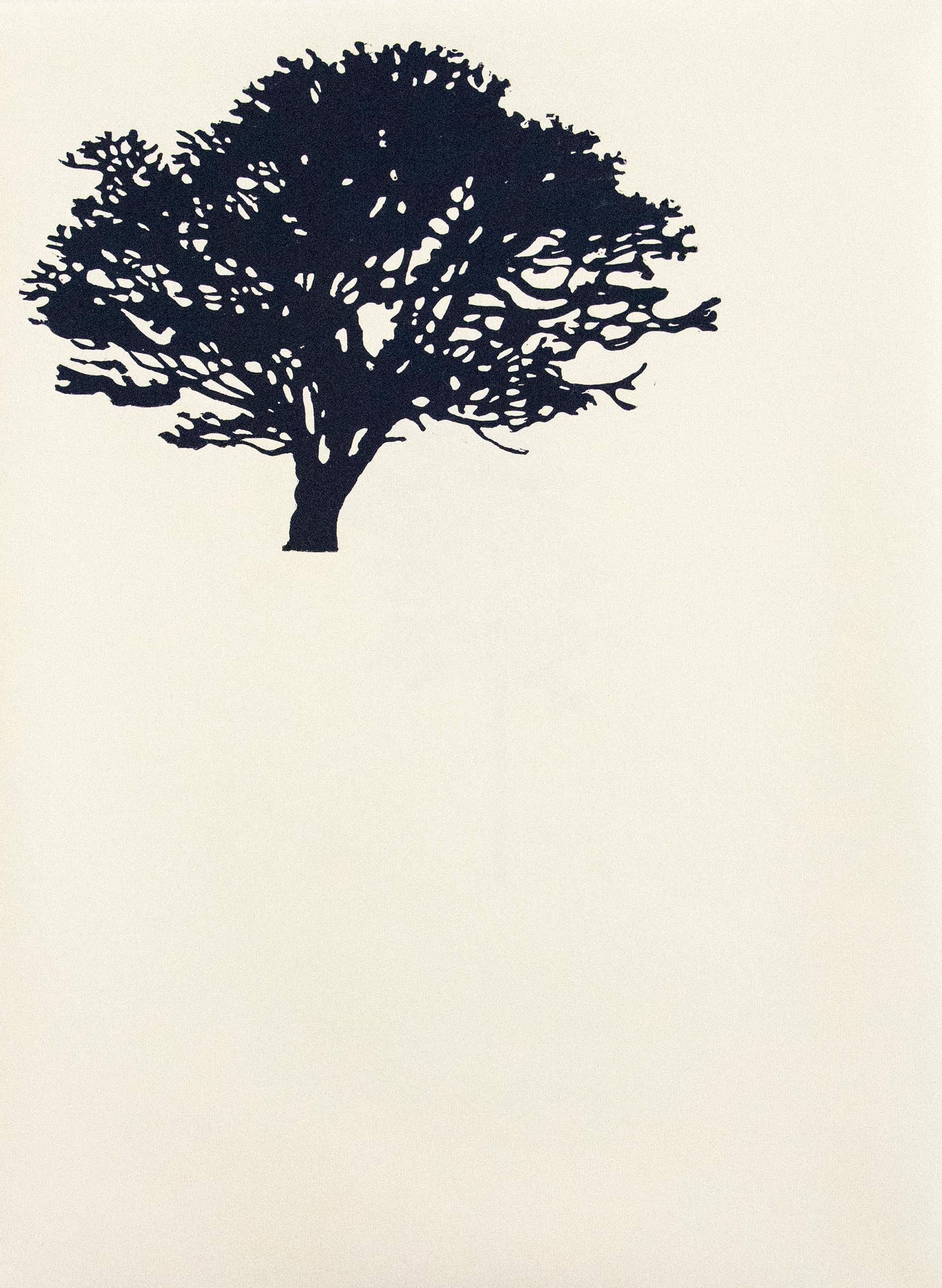 Der Wald  8/12 - portfolio of 9 woodblock prints 2