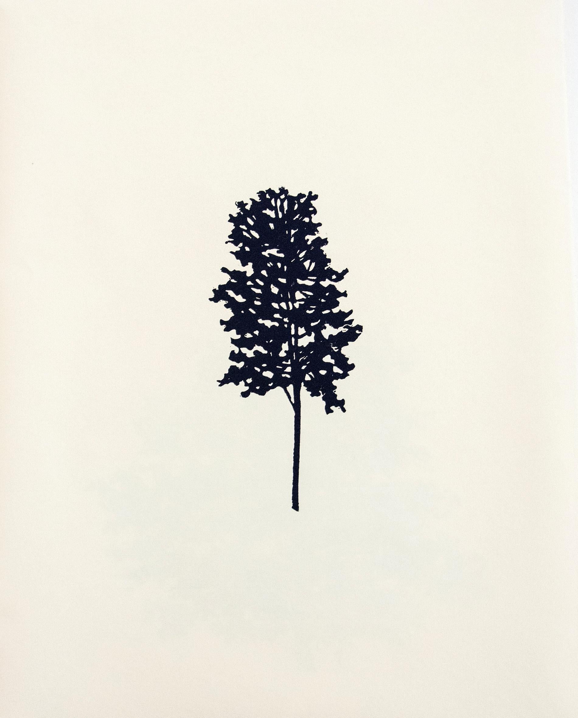 Der Wald  8/12 - portfolio of 9 woodblock prints 3