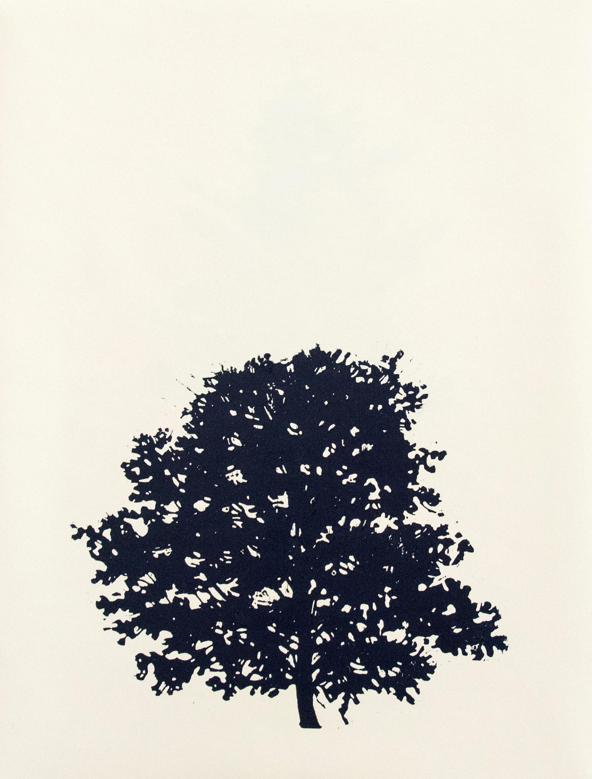 Der Wald  8/12 - portfolio of 9 woodblock prints 4