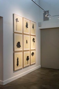 Der Wald (portfolio of 9) 10 of 12 -  grouping, woodblock prints on art paper