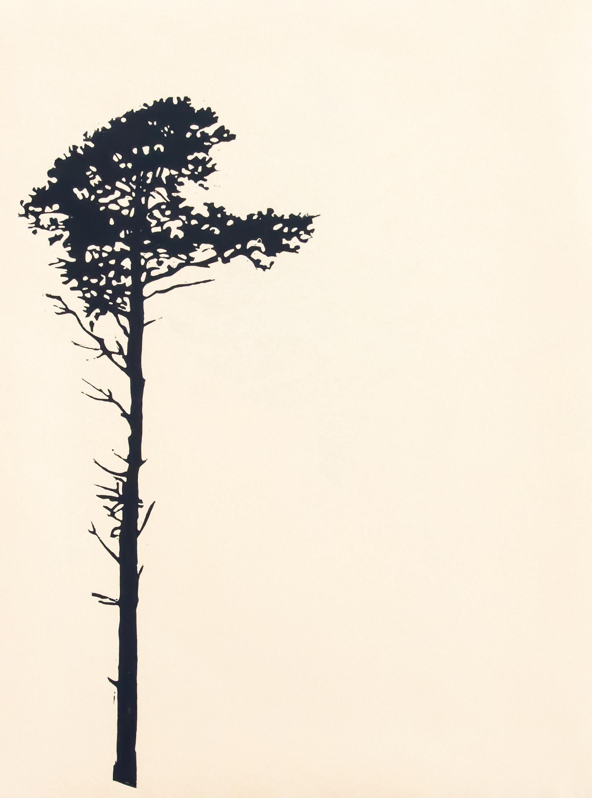 Der Wald (portfolio de 9) 1 sur 12 -  groupement, gravures sur bois sur papier d'art - Blanc Landscape Print par Peter Hoffer