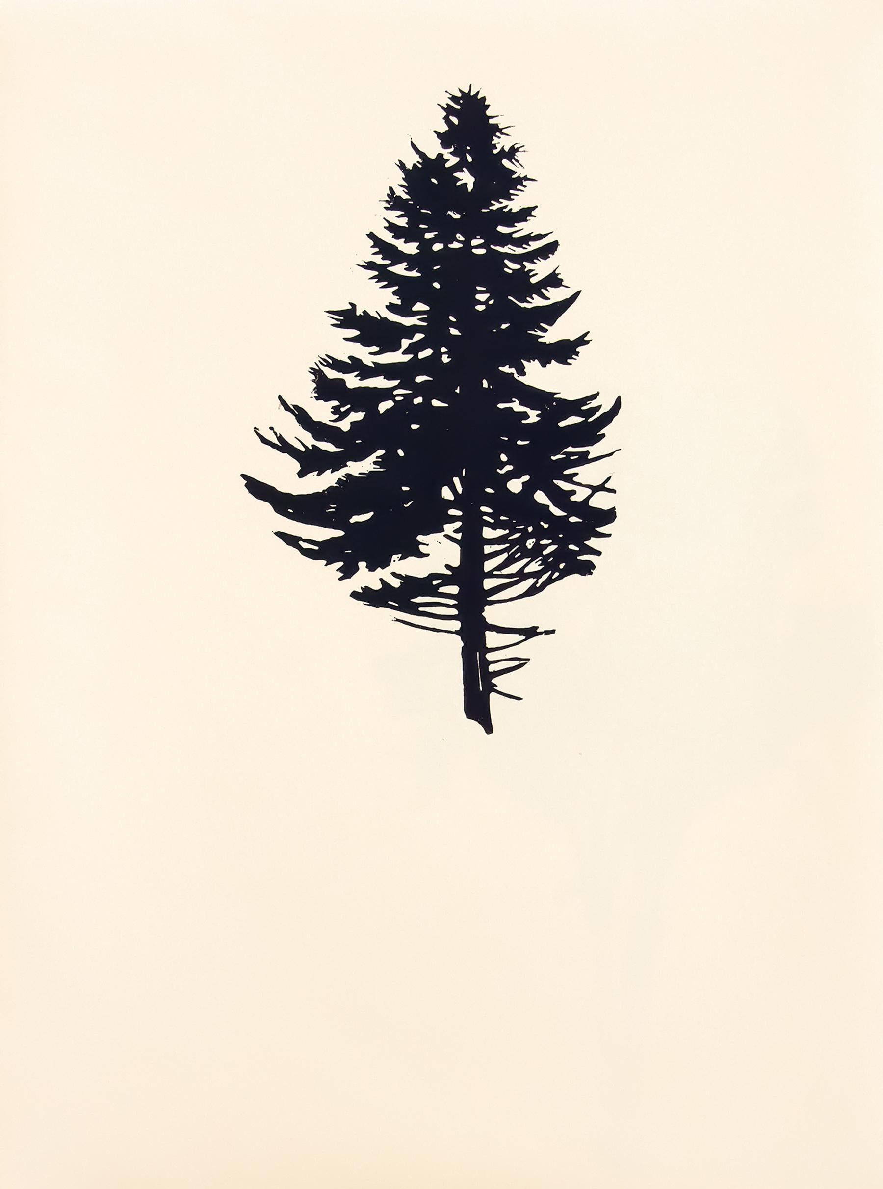Der Wald ou La forêt consiste en neuf impressions sur bois dans un seul portfolio. Dans chacune des neuf images, un seul arbre est imprimé proprement en noir uni sur du papier d'art d'archive de couleur manille. Les arbres - grands, courts, hauts ou