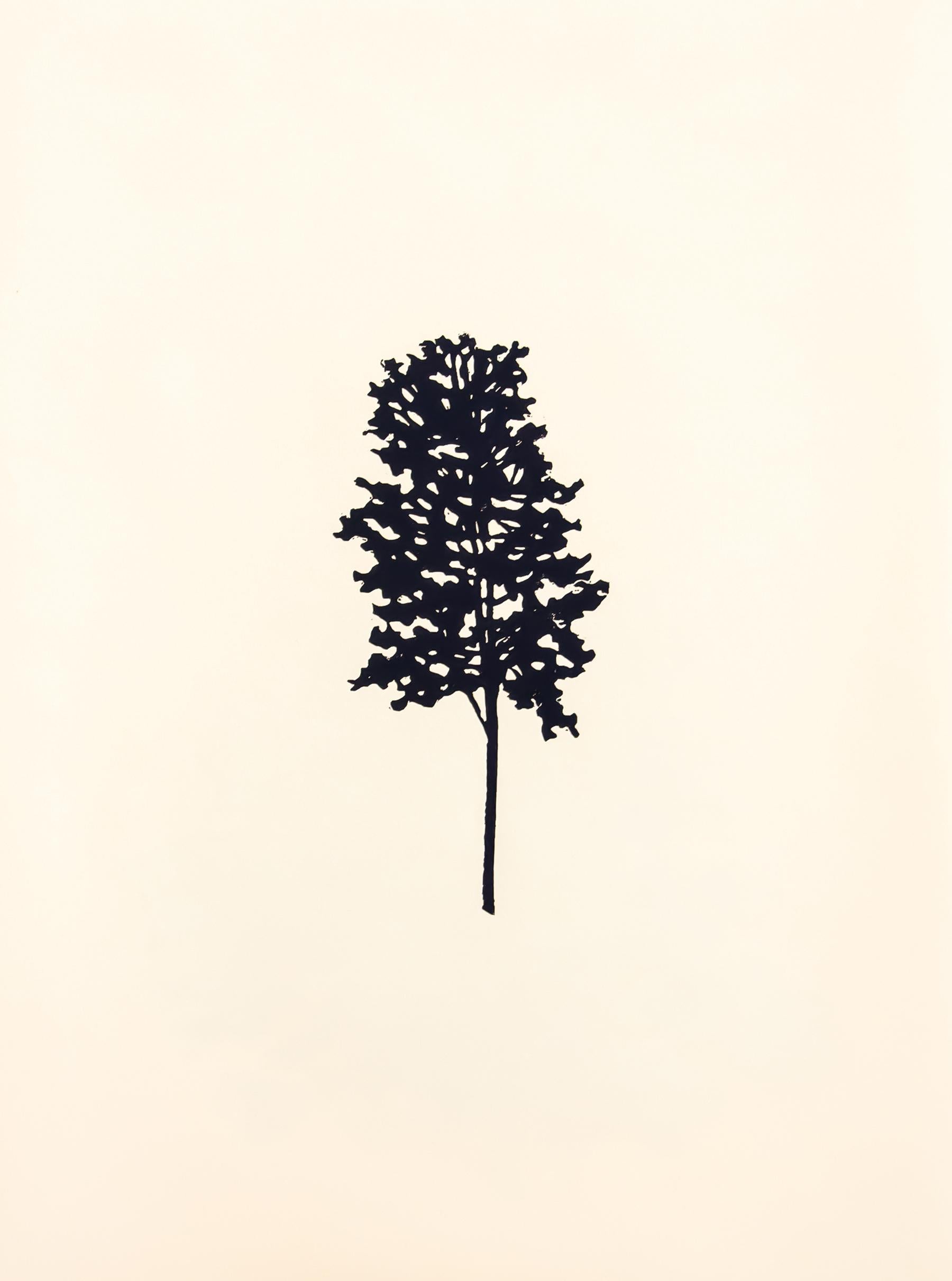 Der Wald or The Forest consists of nine wood block prints in a single portfolio. In each of the nine images a single tree is printed cleanly in solid black on manila colored archival art paper. The trees -- tall, short, high or low on the page,