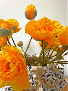 „Vulcano“ von Peter Keizer, 9,4 x 11 Zoll, 2023