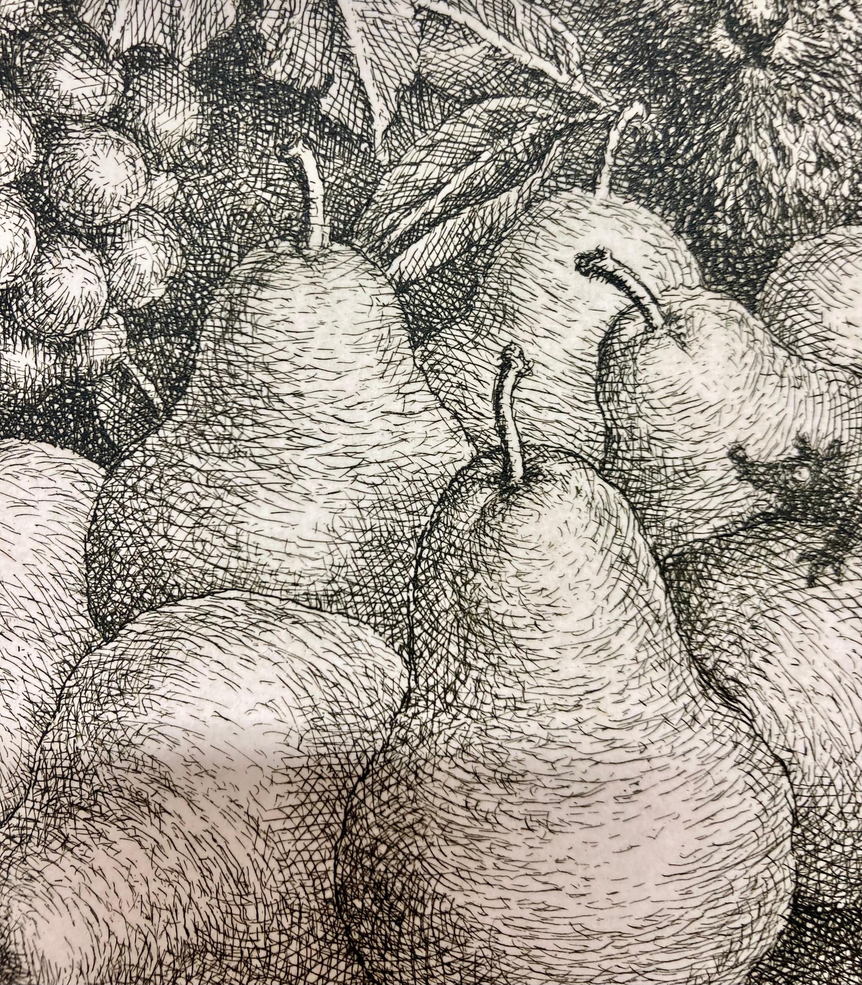 Ex Libris Pears - Abstract Print by Peter Klúcik