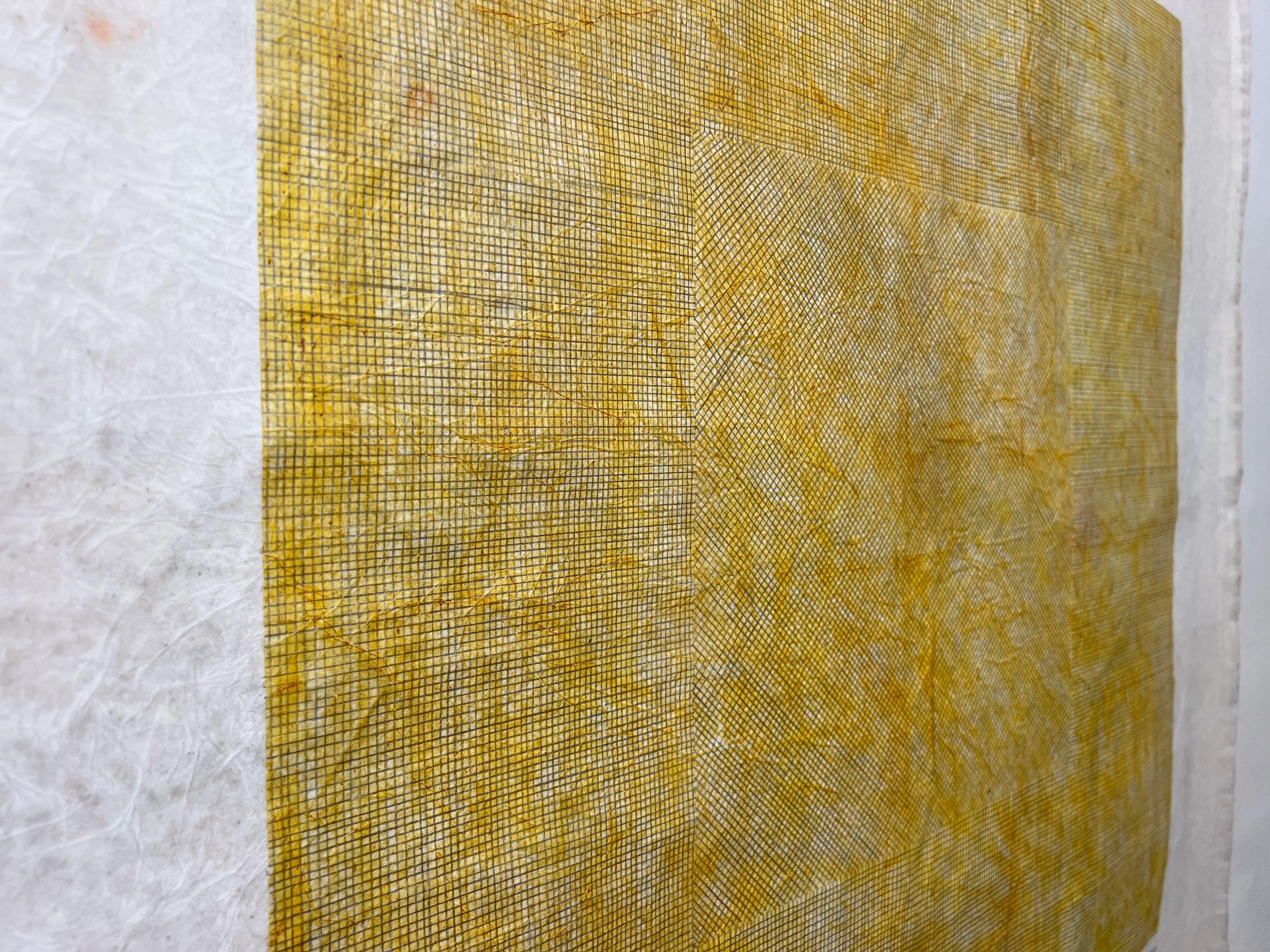 Pittura dell'India orientale Nature, giallo curcuma e grafite su tela - Art Contemporaneo di Peter Kramer
