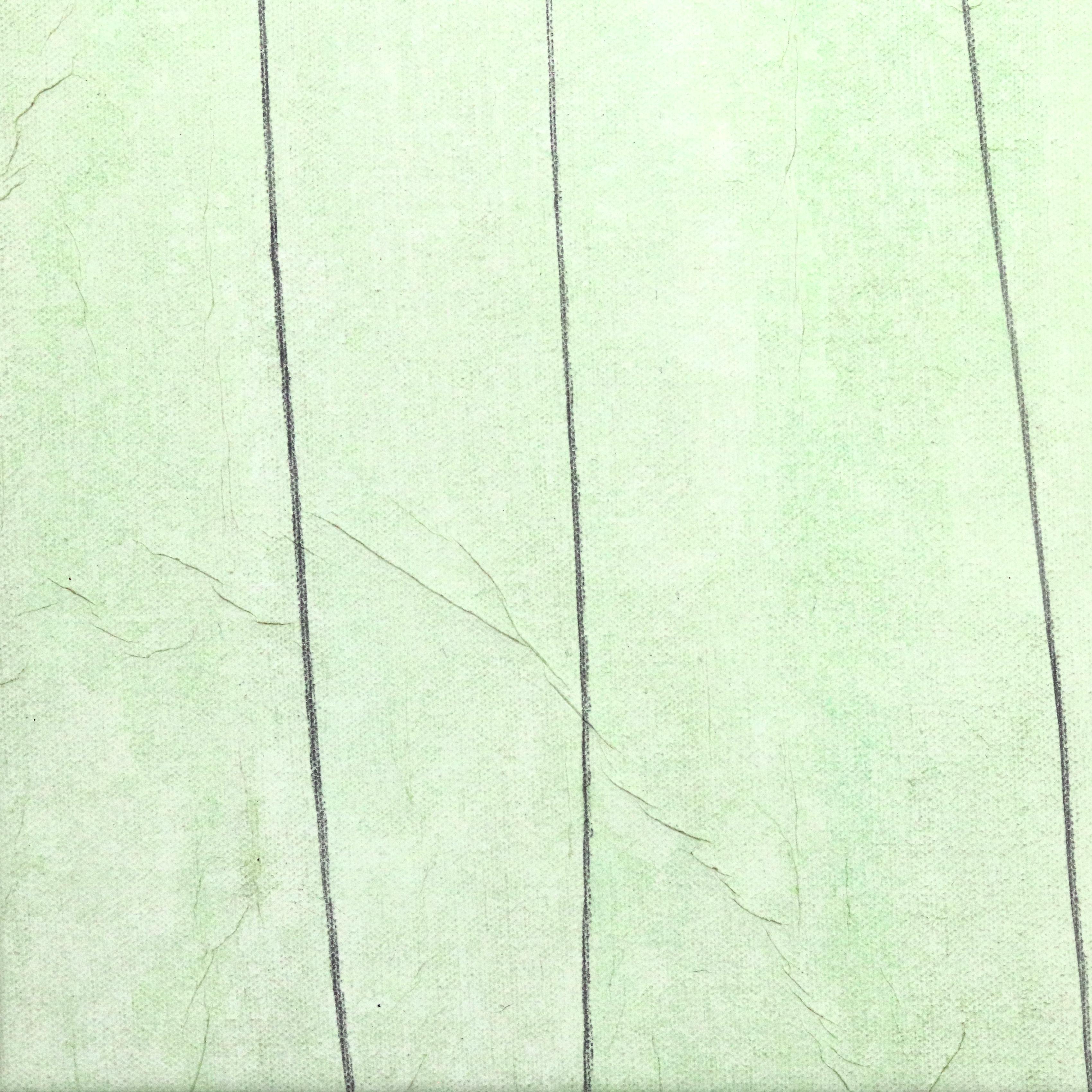 Pale Green Dream II – Original minimalistisches, farbenfrohes, geblümtes Stillleben-Kunstwerk mit Blumenmuster im Angebot 1