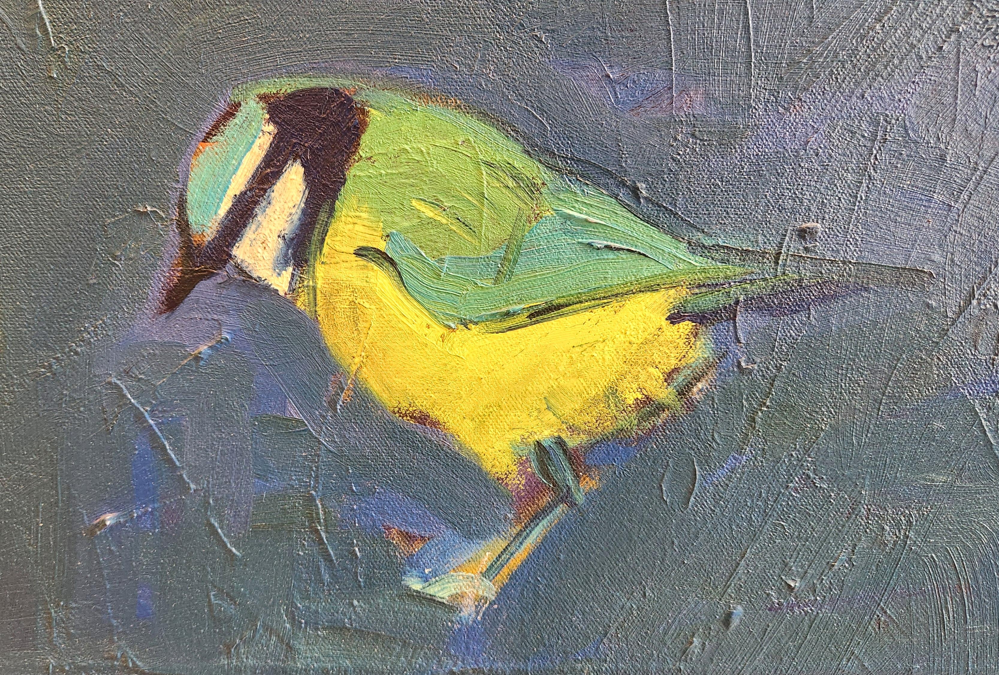 Oil on Canvas Painting -- Blue Tit For Sale 4