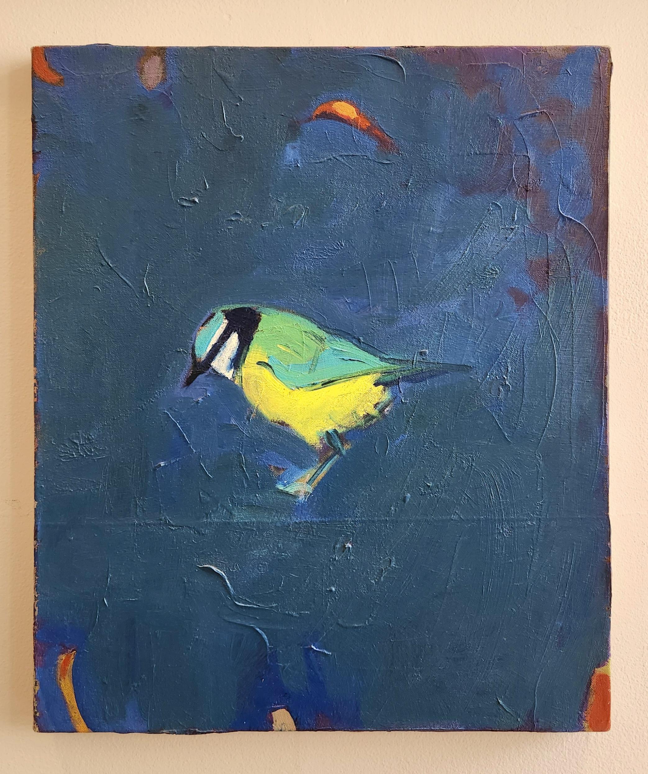 Peter Lewis Animal Painting - Oil on Canvas Painting -- Blue Tit