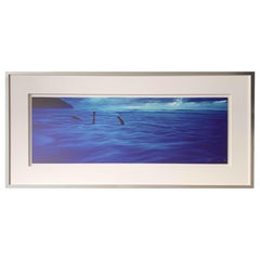 Peter Lik ‘Moonlight Head’ Limited Edition Signed Print 79/450 Float Mounted