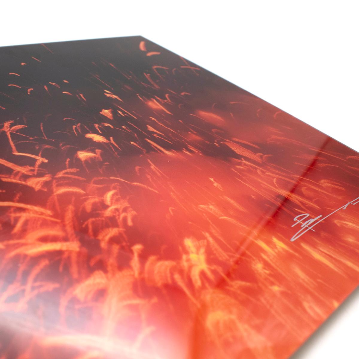 Peter Lik Pele's Whisper Limited Edition Framed 100cm Print & Set of 3 Elements For Sale 7