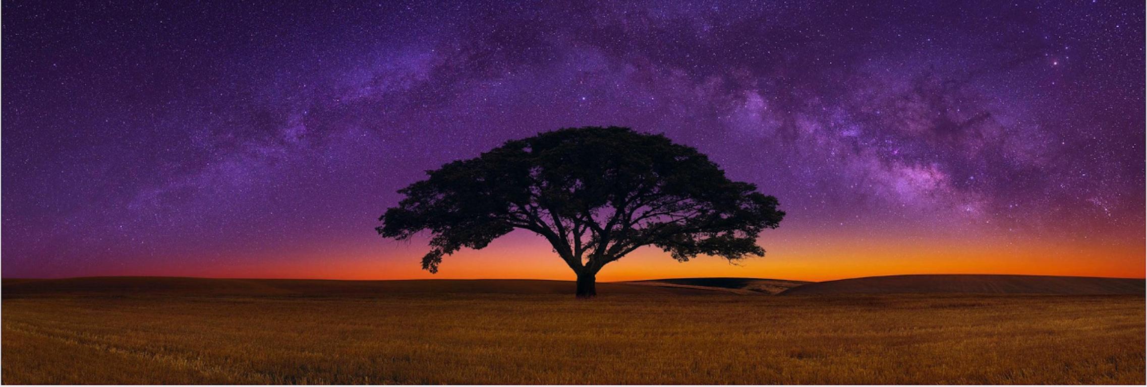 Peter Lik Landscape Photograph – Himmlische Träume