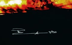 FIRE DANCE