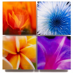 Color Photography