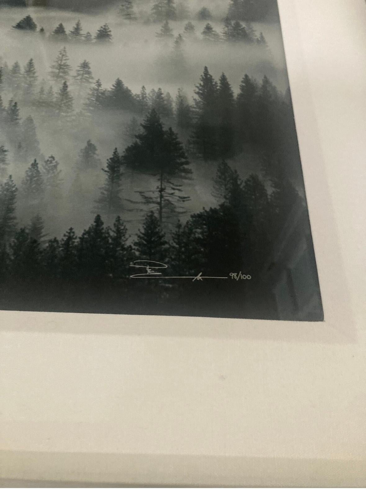 Peter Lik photograph signed and numbered “into the mist”. In good condition measures 38x30