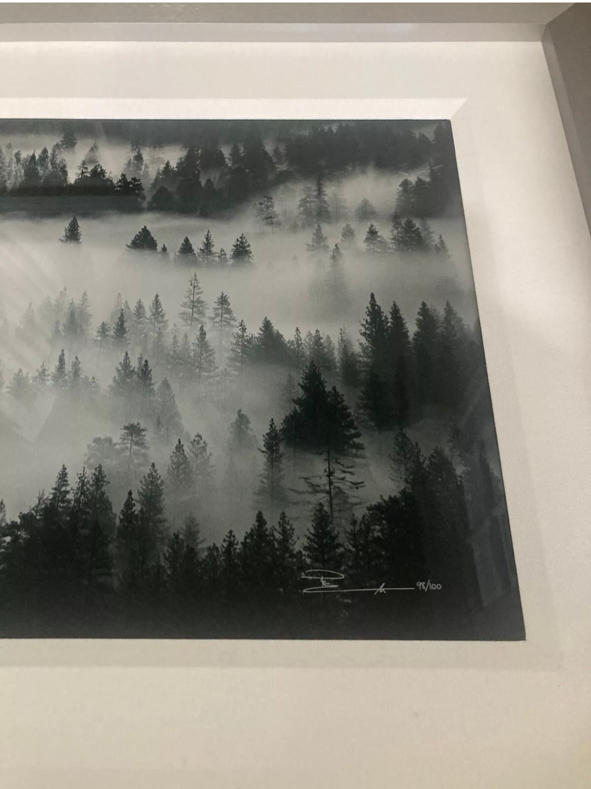 “into the mist” For Sale 1