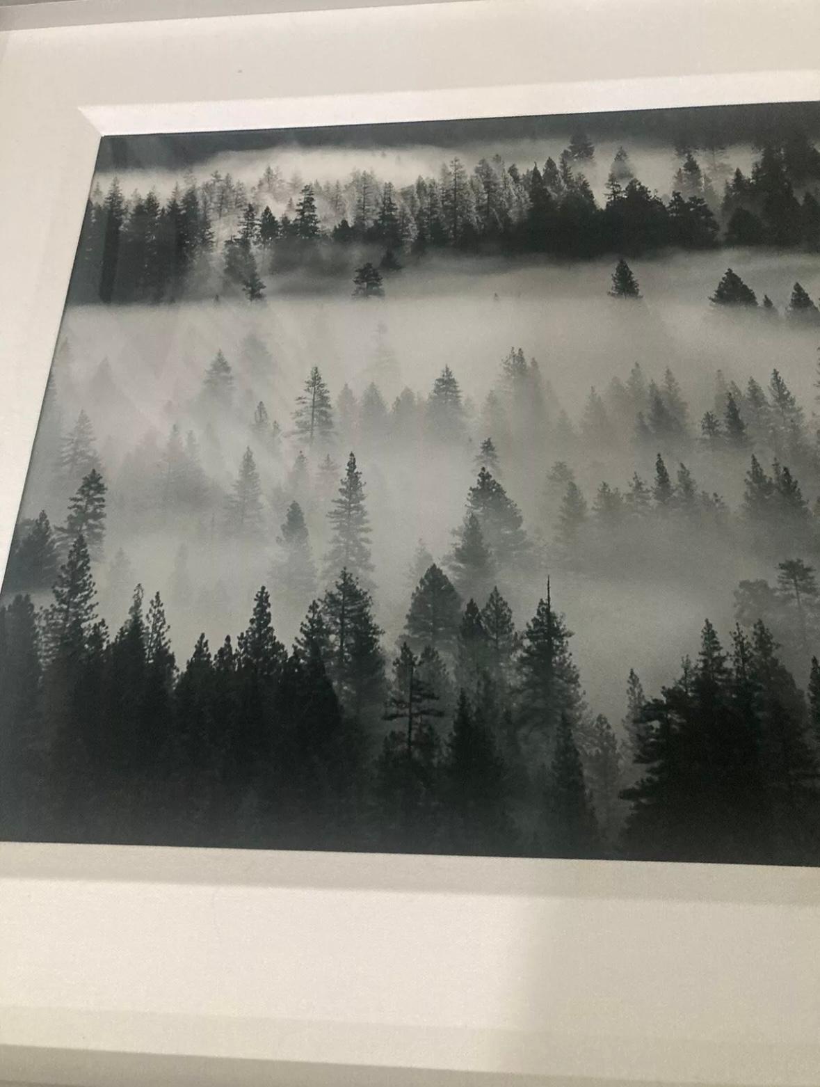“into the mist” For Sale 2