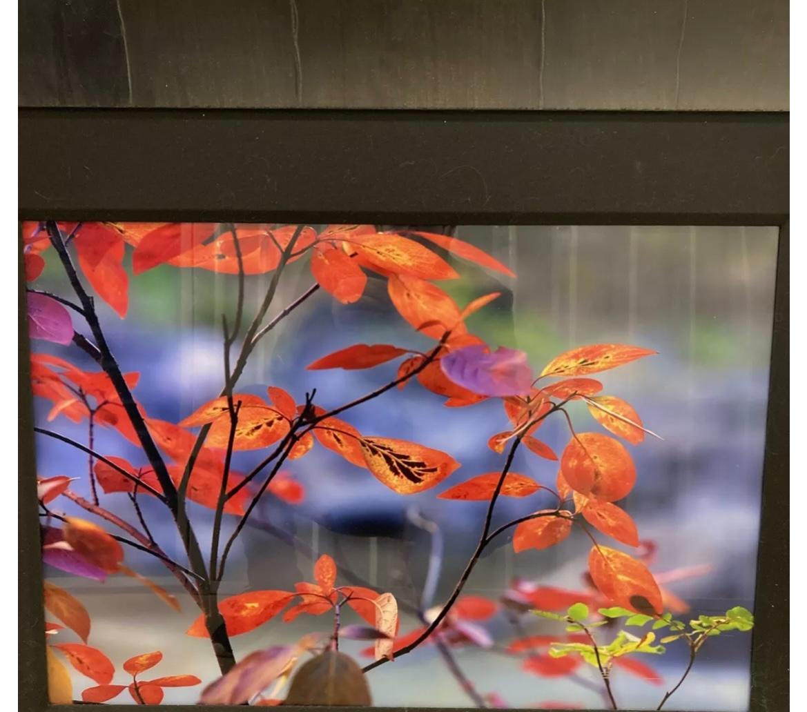 Impresión original de Peter Lik firmada y numerada 