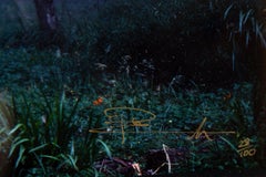Peter Lik Ltd. Rare sold out 28/100 Small Edition 50k store retail Misty Forest