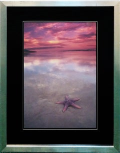 STARFISH