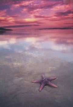 Starfish - Étoile