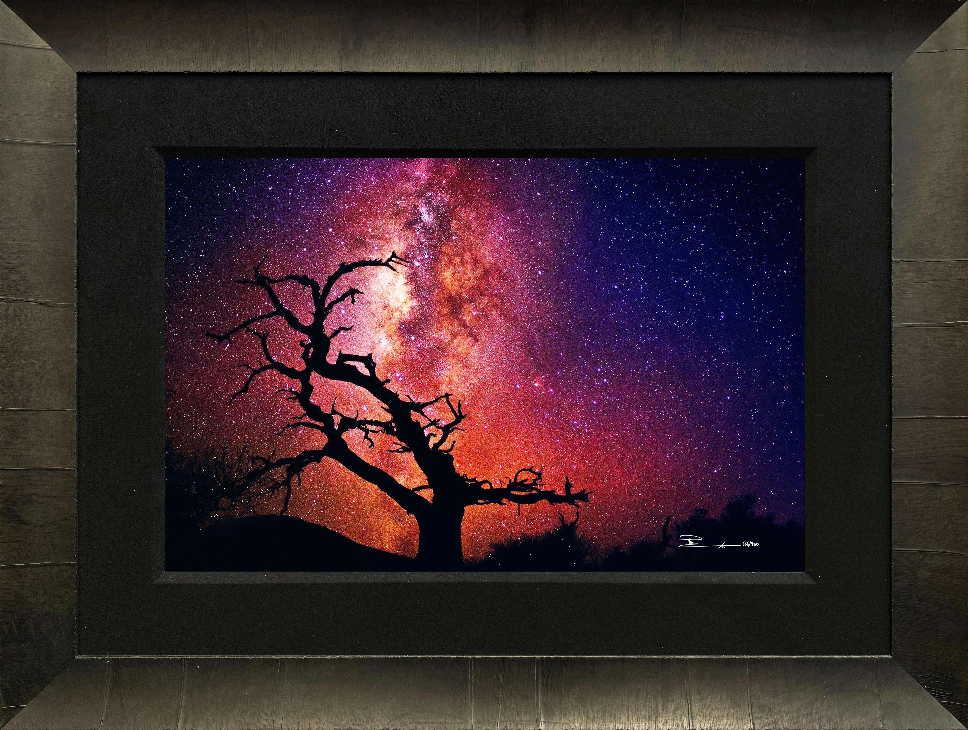 Peter Lik Landscape Photograph - Tree Of The Universe (large signed photographic print)