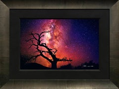 Color Photography