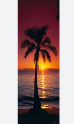 “Tropical Sunrise”