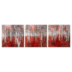 Peter Lik - Rouge (Triptych), 2014 Signed Contemporary Photography Print 534/950 Peter Lik - Rouge (Triptych), 2014 Signed Contemporary Photography Print 534/950