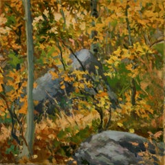 Aspens and Boulders