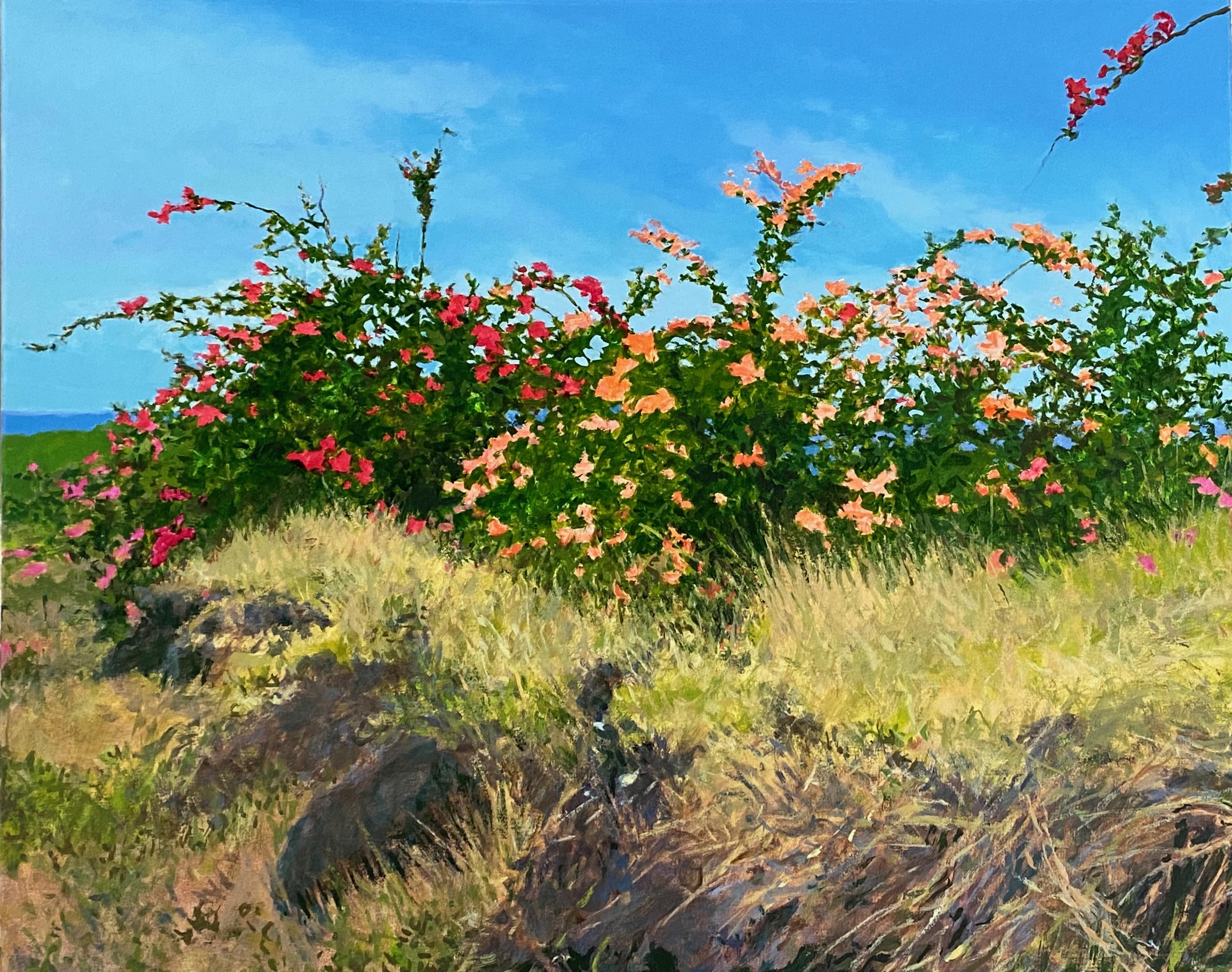Peter Loftus Landscape Painting – Bougainvillea in Honaunau, Nr. 4