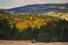 Used Clouds and Sun near Cloverdale/ realist nature 44 x66 in. oil on canvas painting