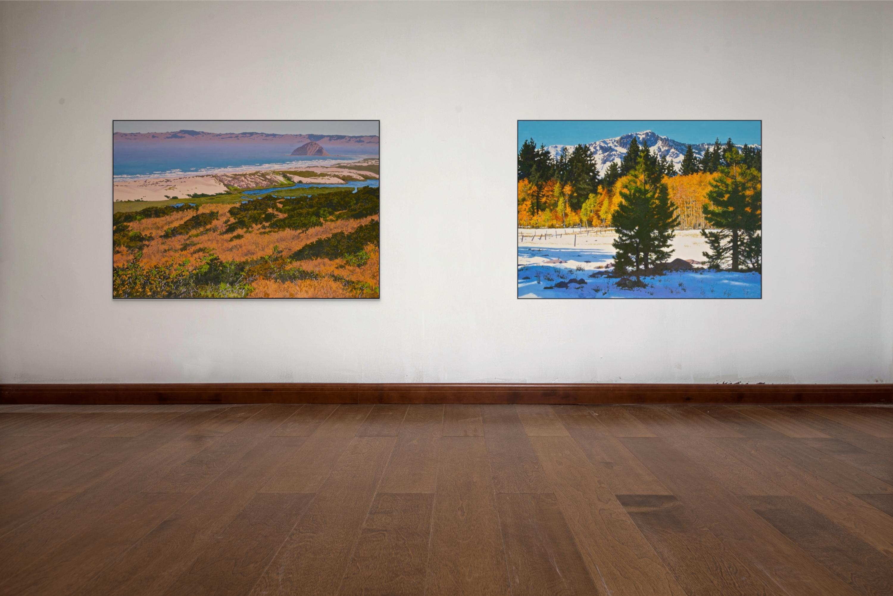 Dunas de Morro Bay /  44 x 66 pulg. óleo sobre lienzo pintura de naturaleza - Painting de Peter Loftus