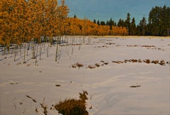 Snowy Field with Aspens