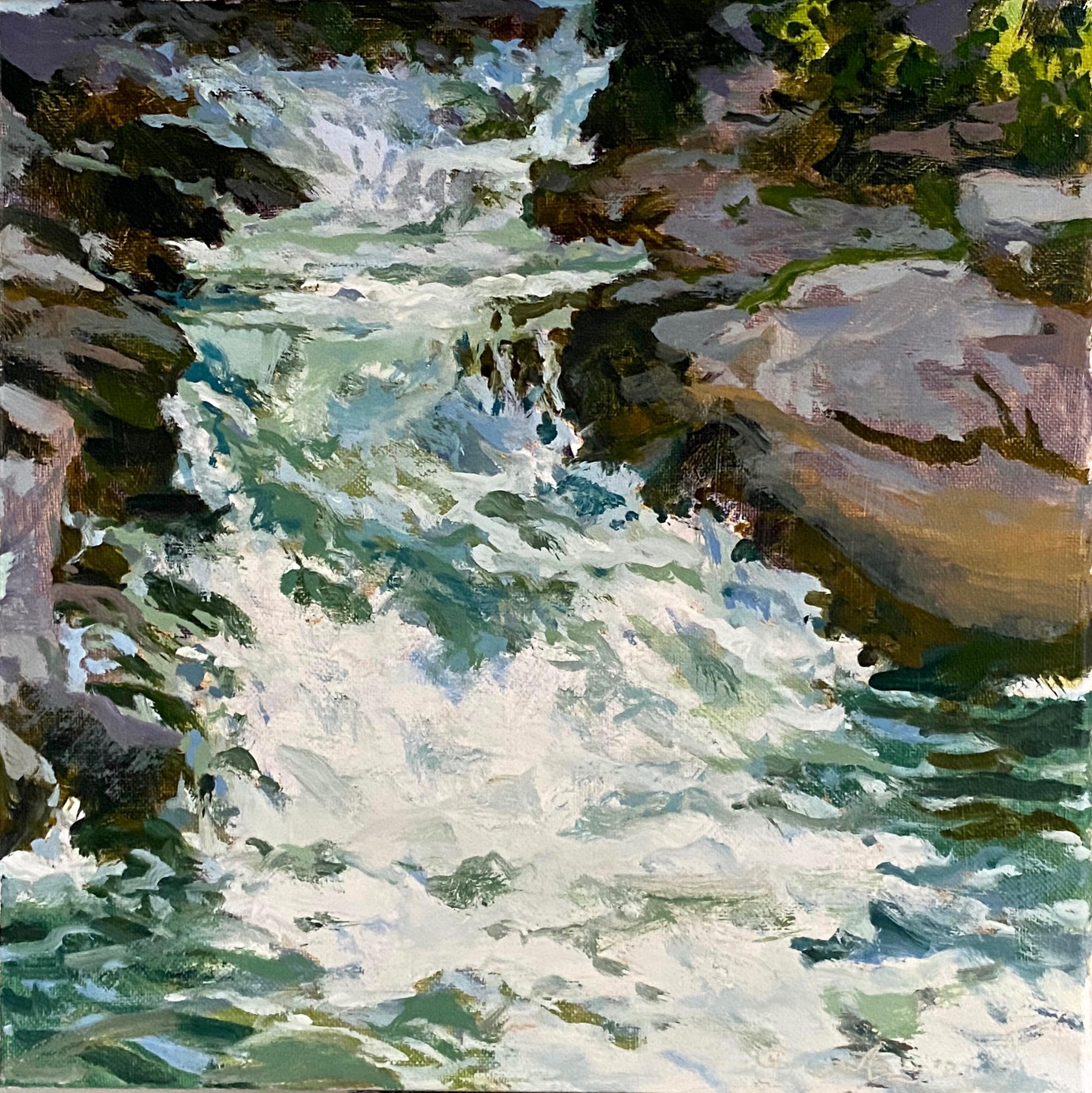 Peter Loftus Still-Life Painting - Waterfall Study
