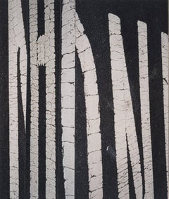 Untitled Photograph Collage