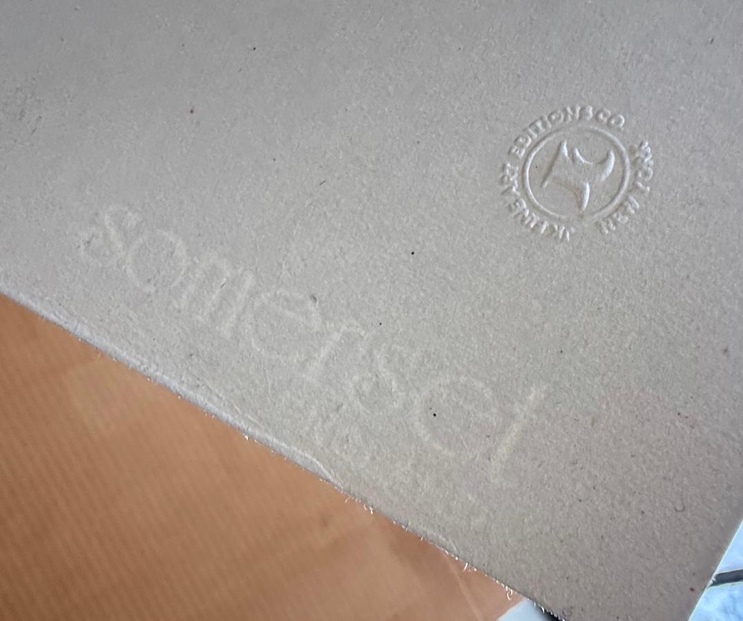 LADY IN GREEN Original Lithographie, Seltener Proof, Sitzende Frau, Pop Art Portrait im Angebot 4