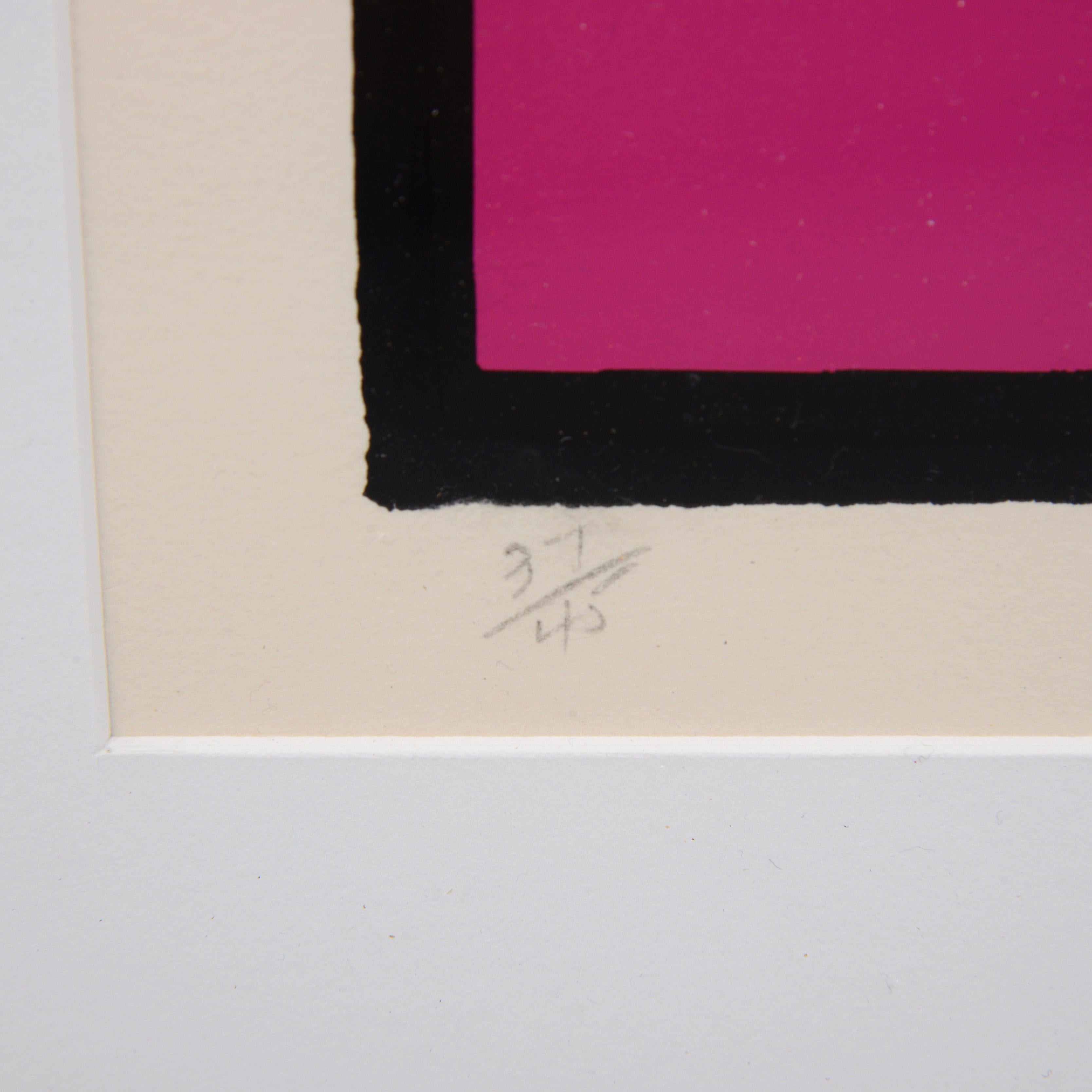 Peter Max JIMI HENDRIX Serigrafía en venta 4