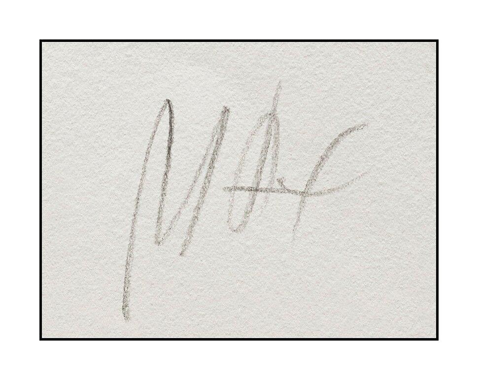 peter max signature