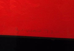 REMEMBERING THE FLIGHT