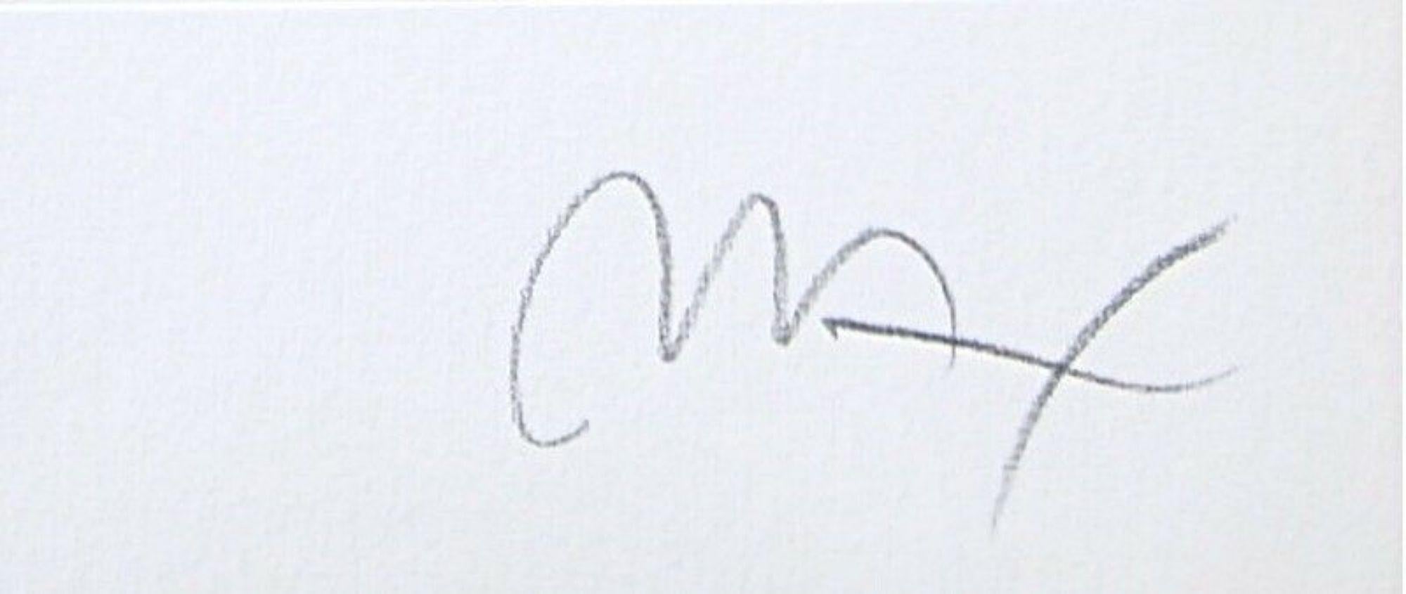peter max signature