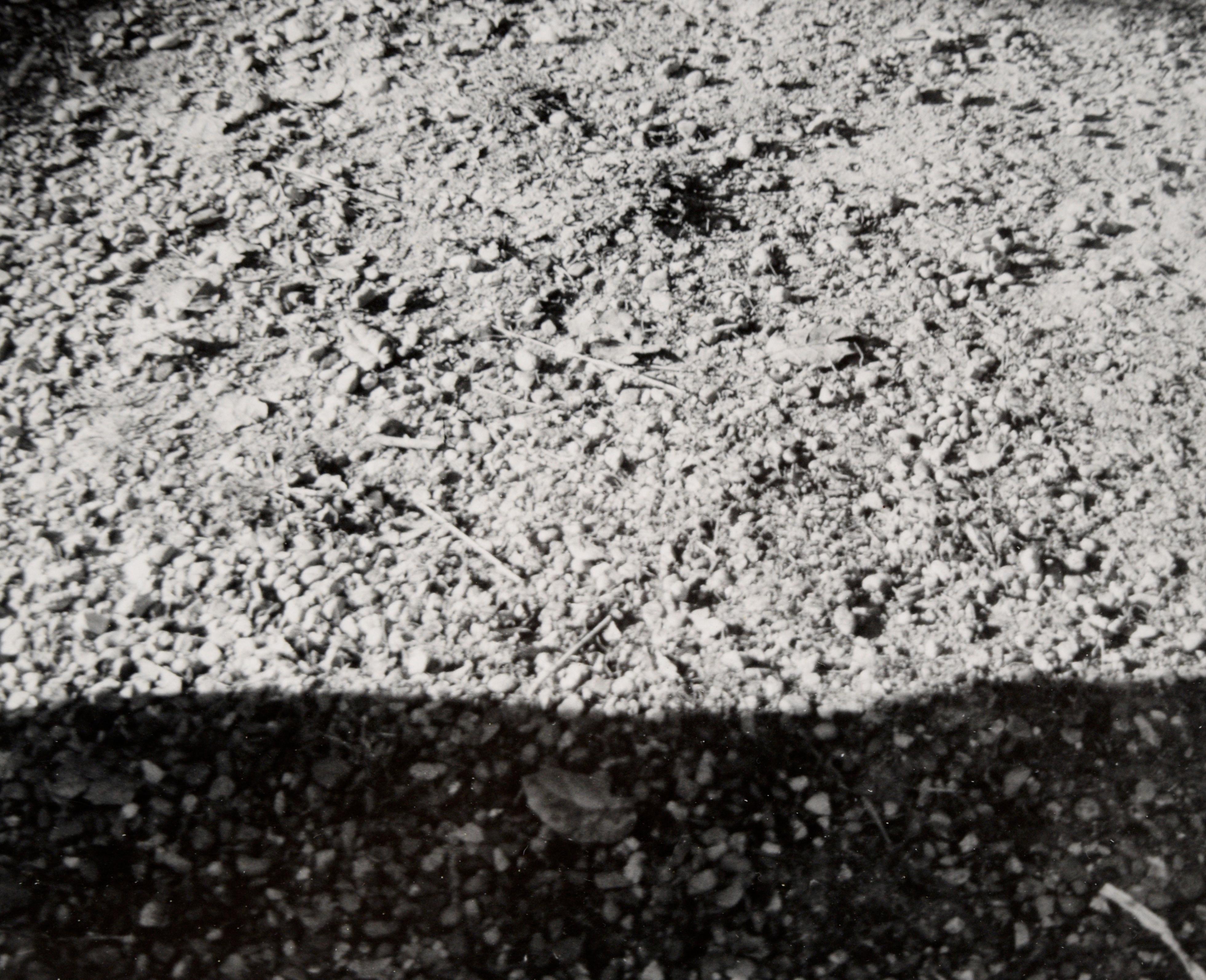 Chat dans l'ombre - Photo en noir et blanc de l'artiste Peter McArthur de Carmel en vente 4