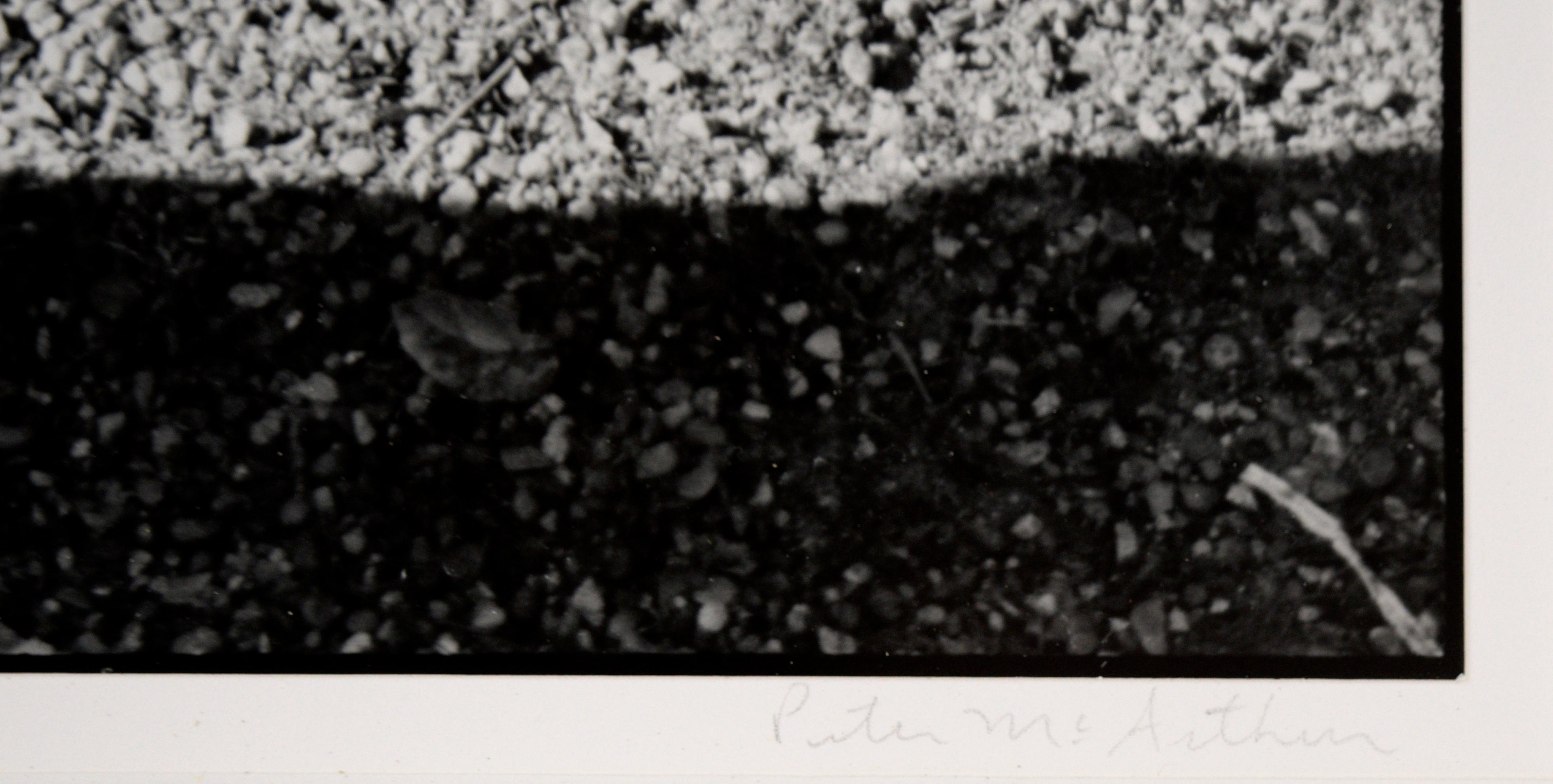 Chat dans l'ombre - Photo en noir et blanc de l'artiste Peter McArthur de Carmel en vente 5