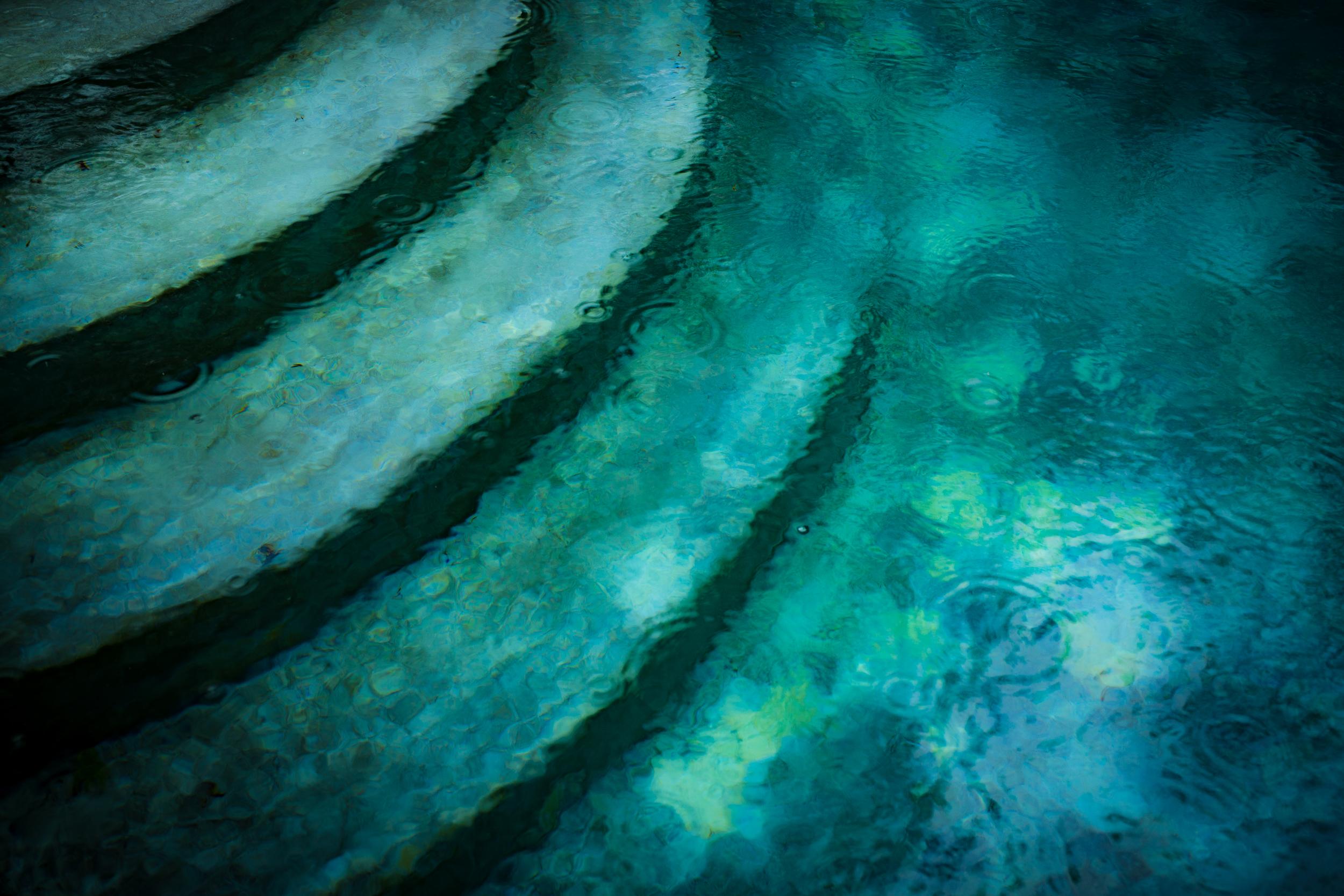 Peter Mendelson Color Photograph - "Underwater World, " Contemporary Photograph, 30" x 45"