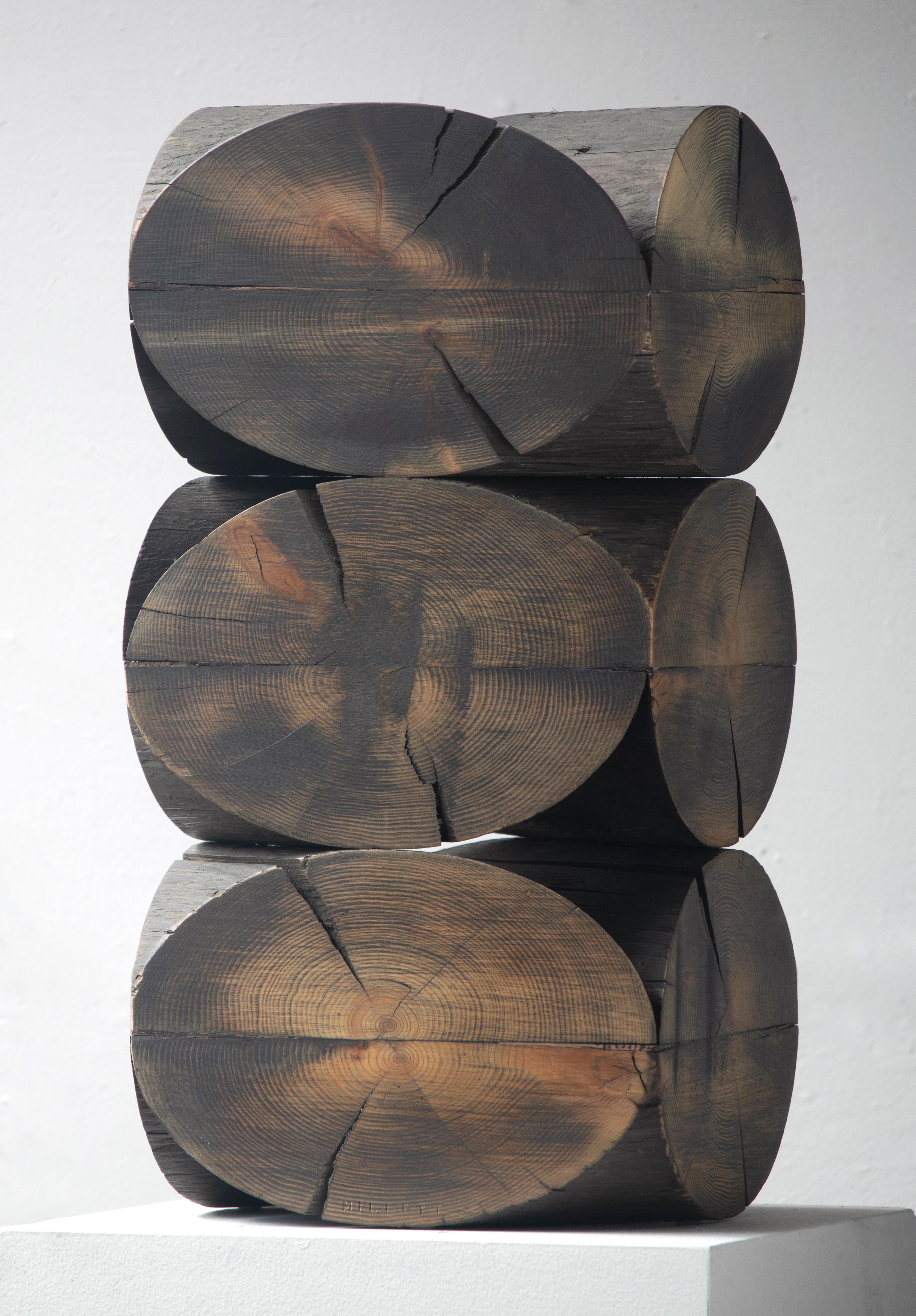 Peter Millett Abstract Sculpture - Log On