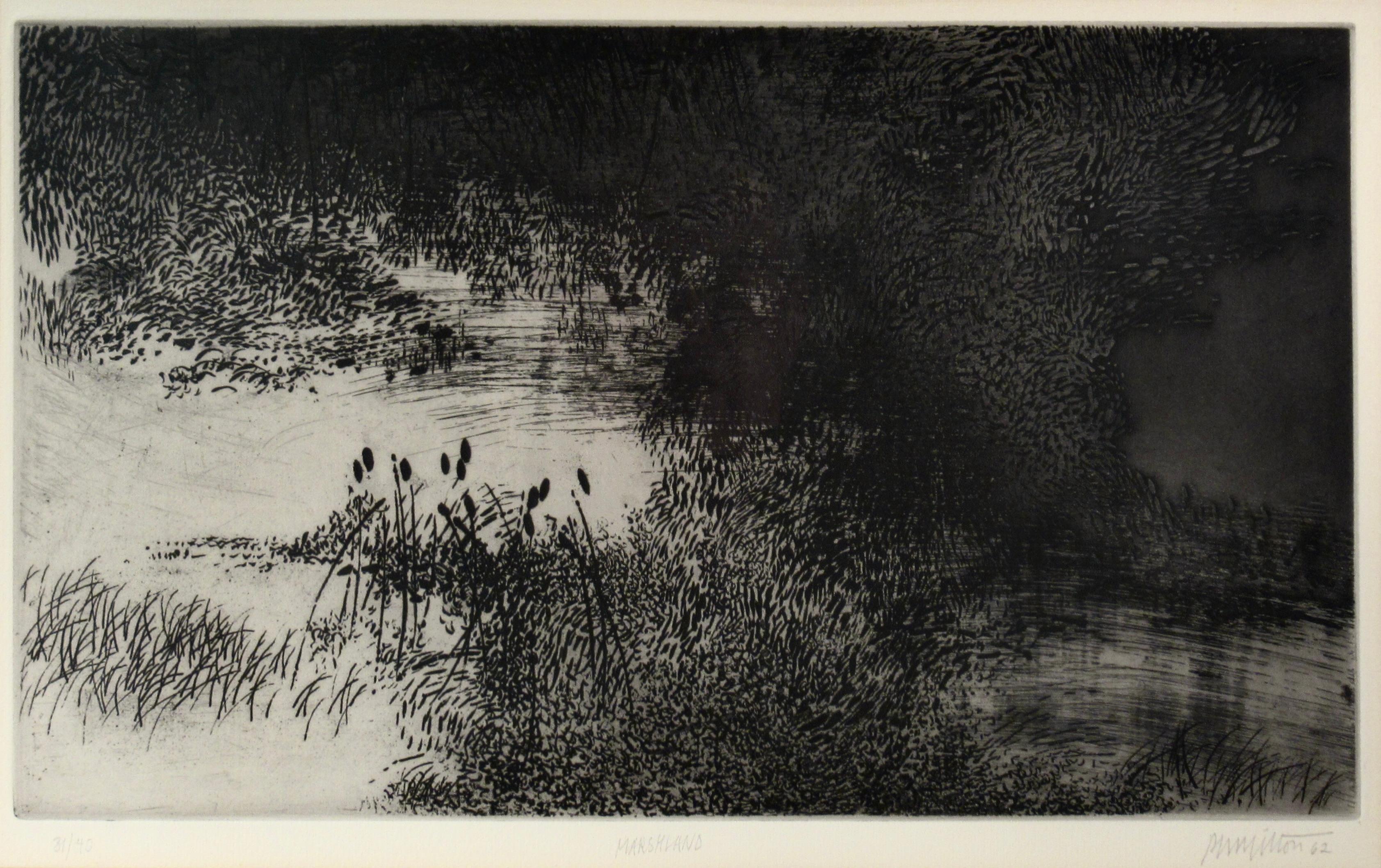 Palude - Print di Peter Milton