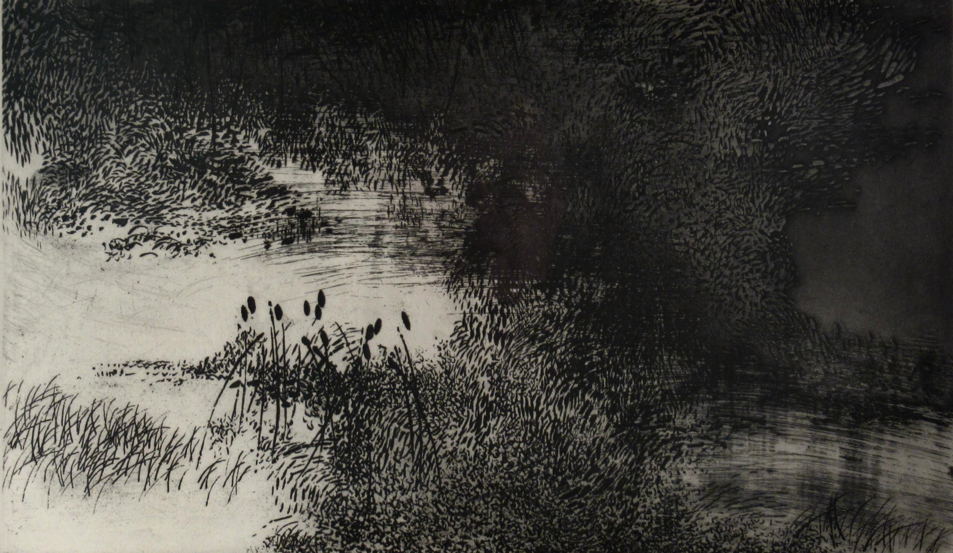 Palude - Print American Modern di Peter Milton